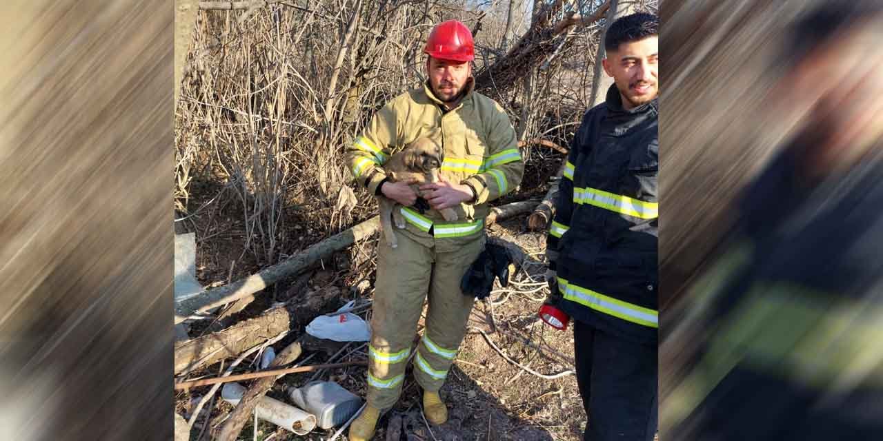 Kuyuya düşen minik dostları itfaiye kurtardı