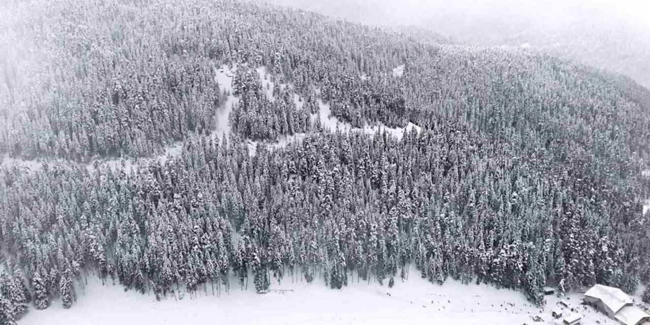Karlar altındaki Ilgaz ormanları havadan görüntülendi