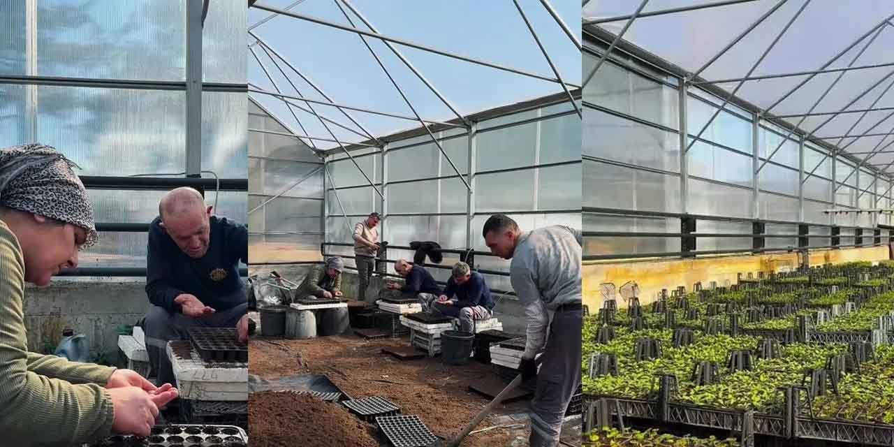 Kırıkkale'de cadde ve sokaklara yeşil dokunuş