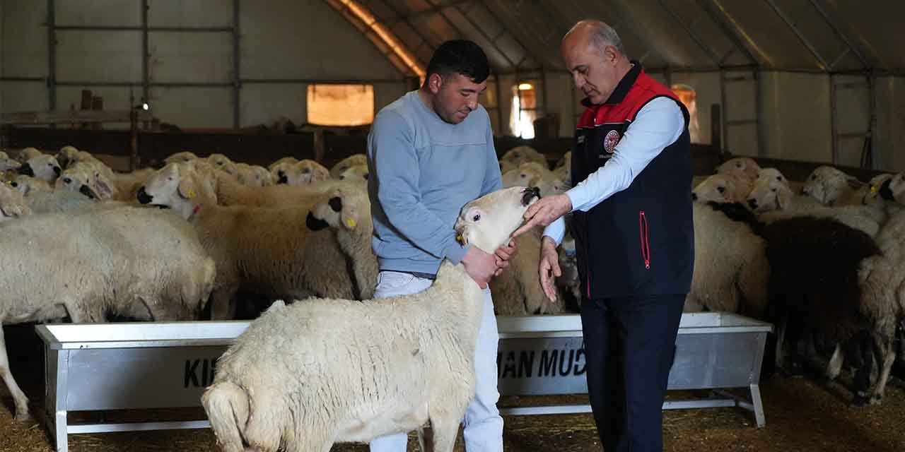 Şehir hayatına 5 ay dayanabildi, köyüne geri döndü!