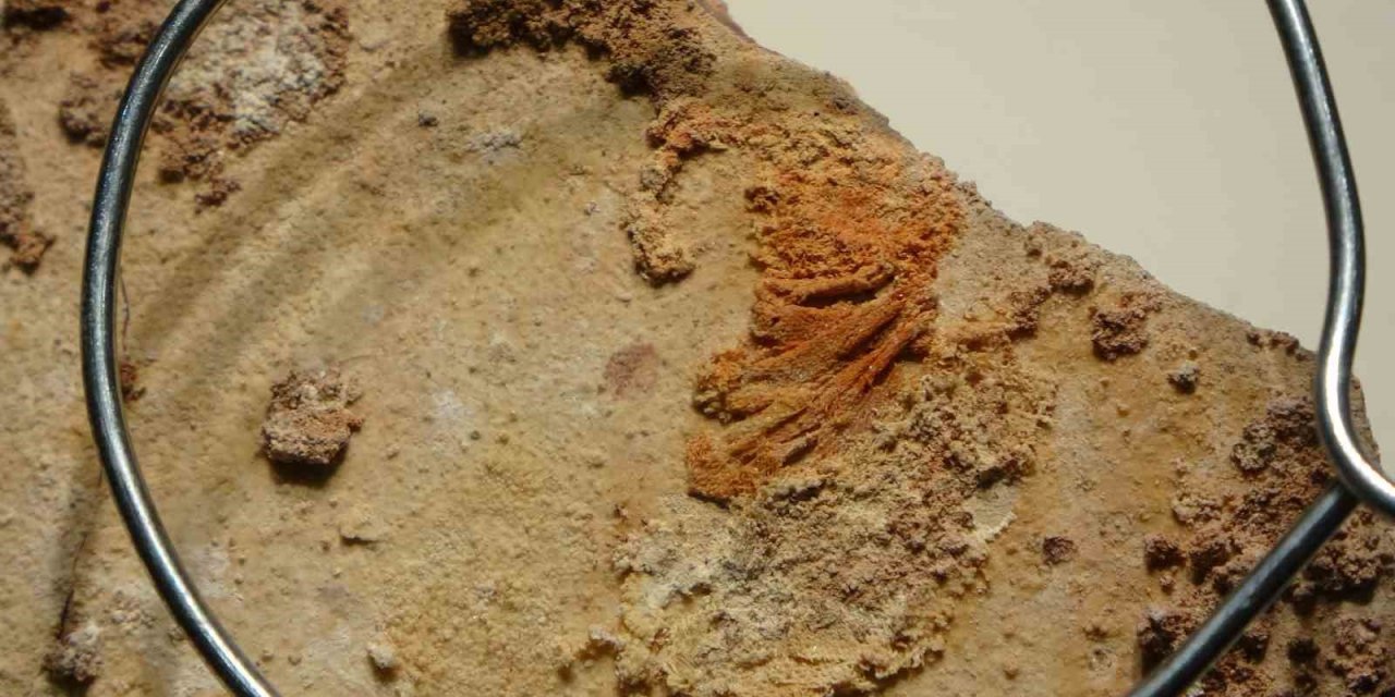 Paha biçilemeyen 3 bin 500 yıllık Hitit keten kumaşı ilk kez görücüye çıktı