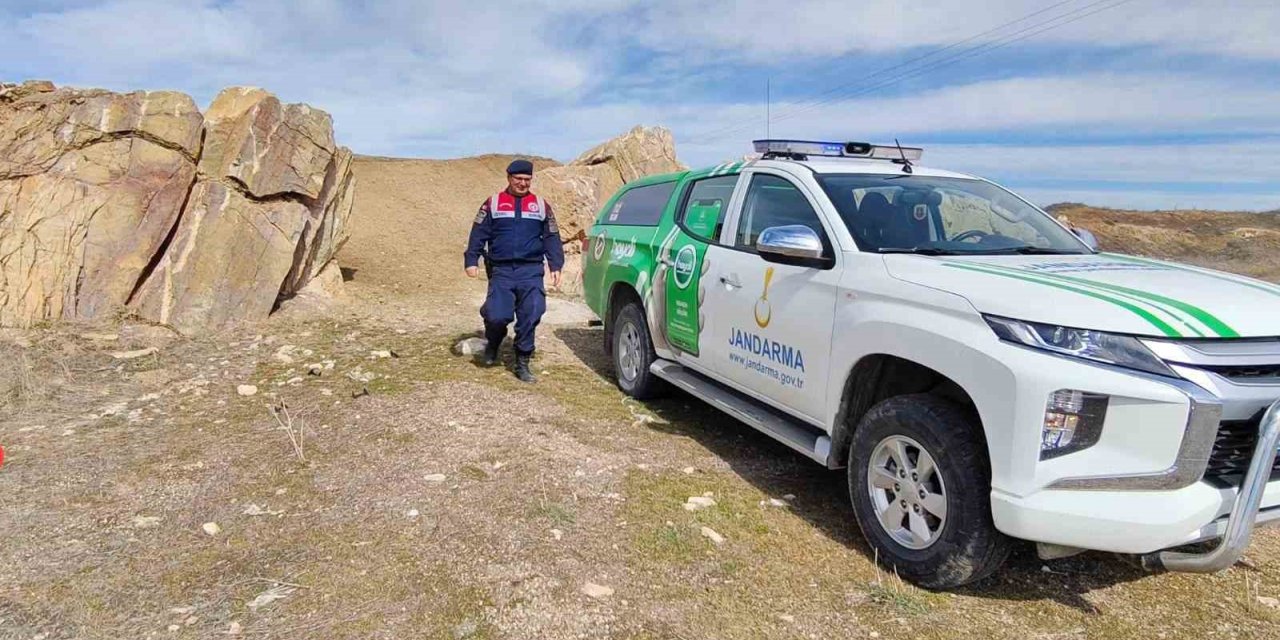Jandarma yaban hayatı kontrolü yaptı