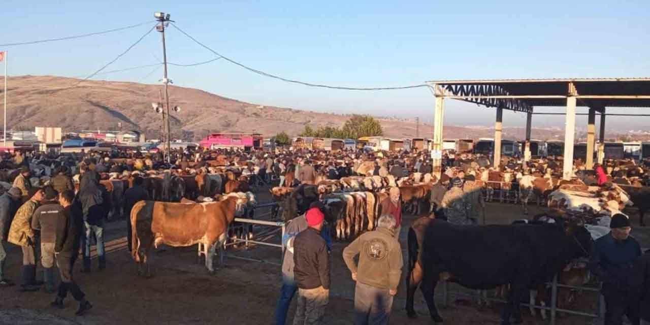 Yozgat’ta geçici olarak kapatılan hayvan pazarları yeniden açıldı