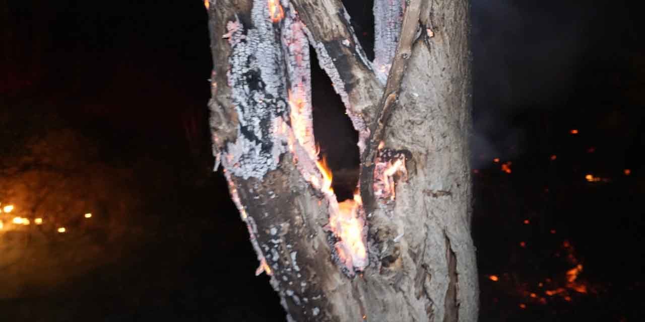 Hacıbalı Köyü’nde 25 dönüm küle döndü!