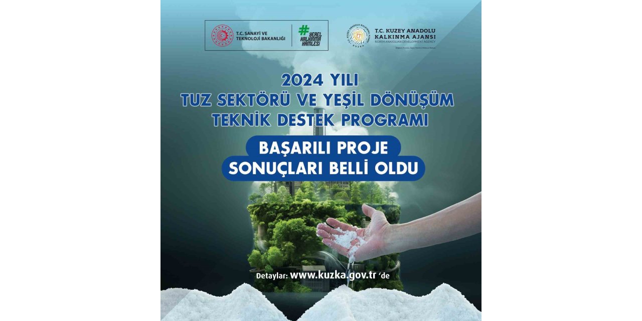 Tuz Sektörü ve Yeşil Dönüşüm Teknik Destek Programı başarılı projeleri belli oldu