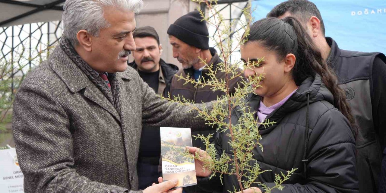 Kırıkkale’de vatandaşlara ücretsiz fidan dağıtıldı
