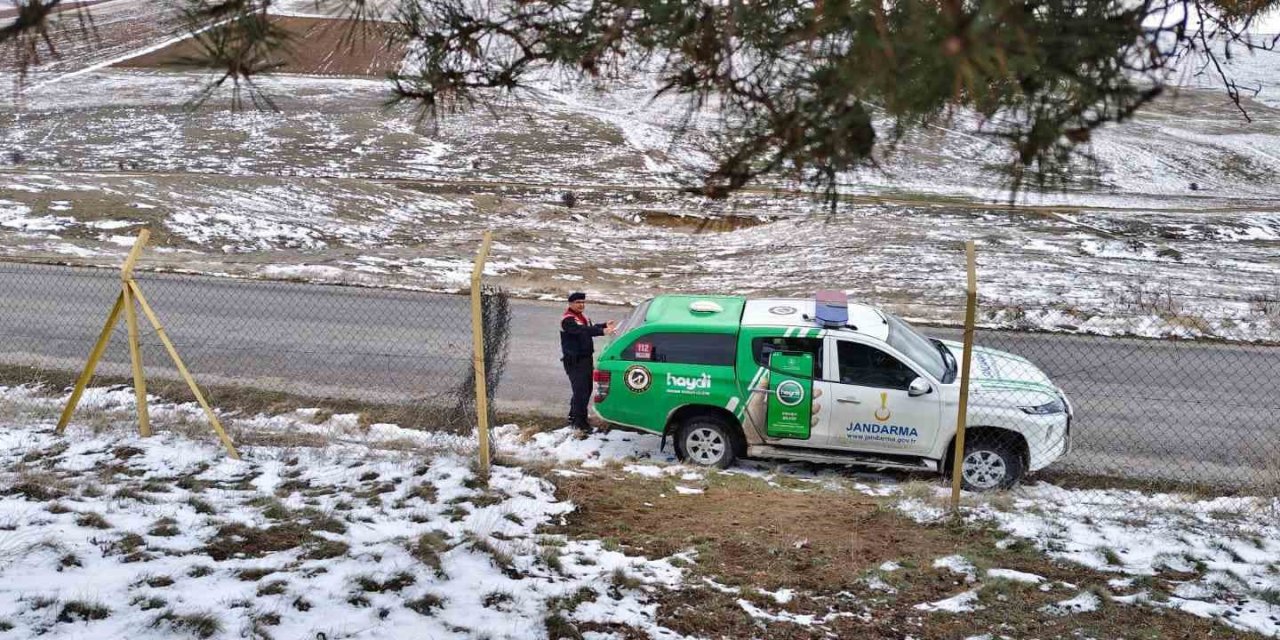 Sorgun’da yaban hayvanları için yem bırakıldı