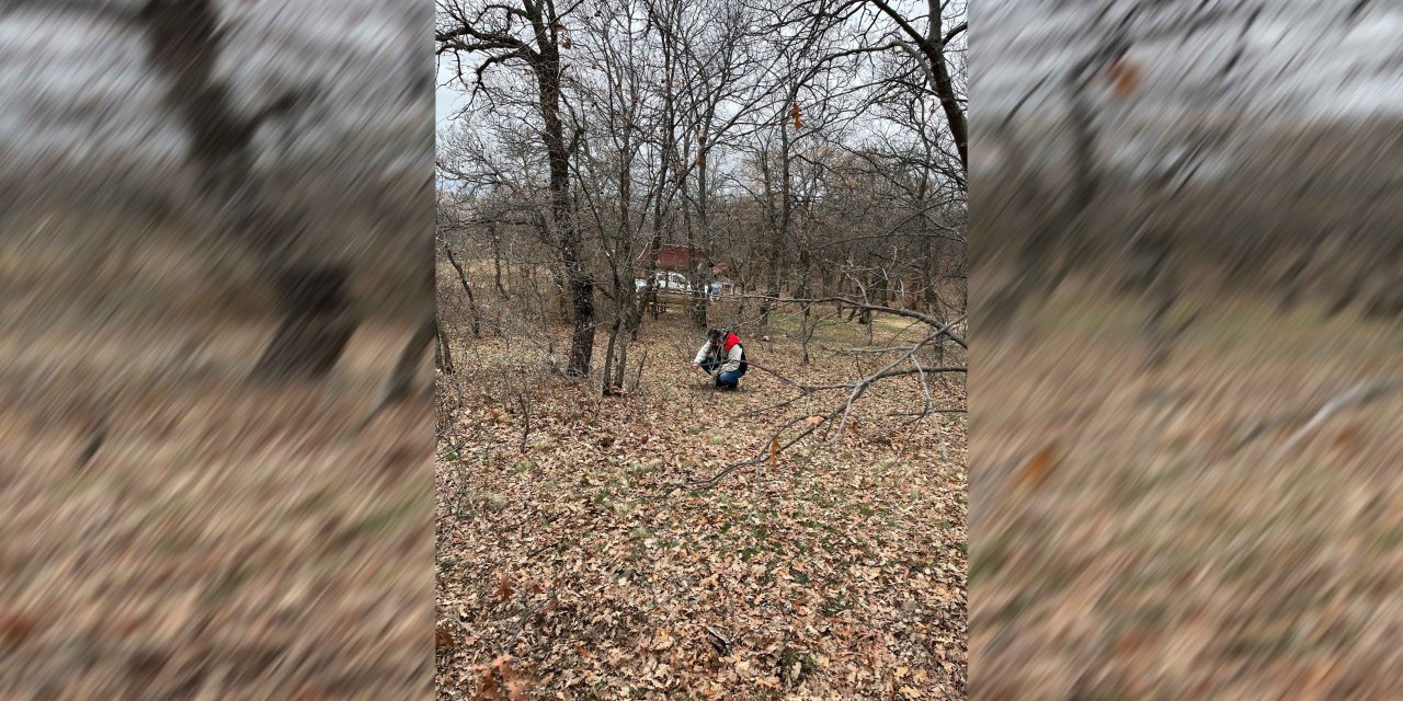 Kırıkkale tarlalarında süneye karşı erken önlem