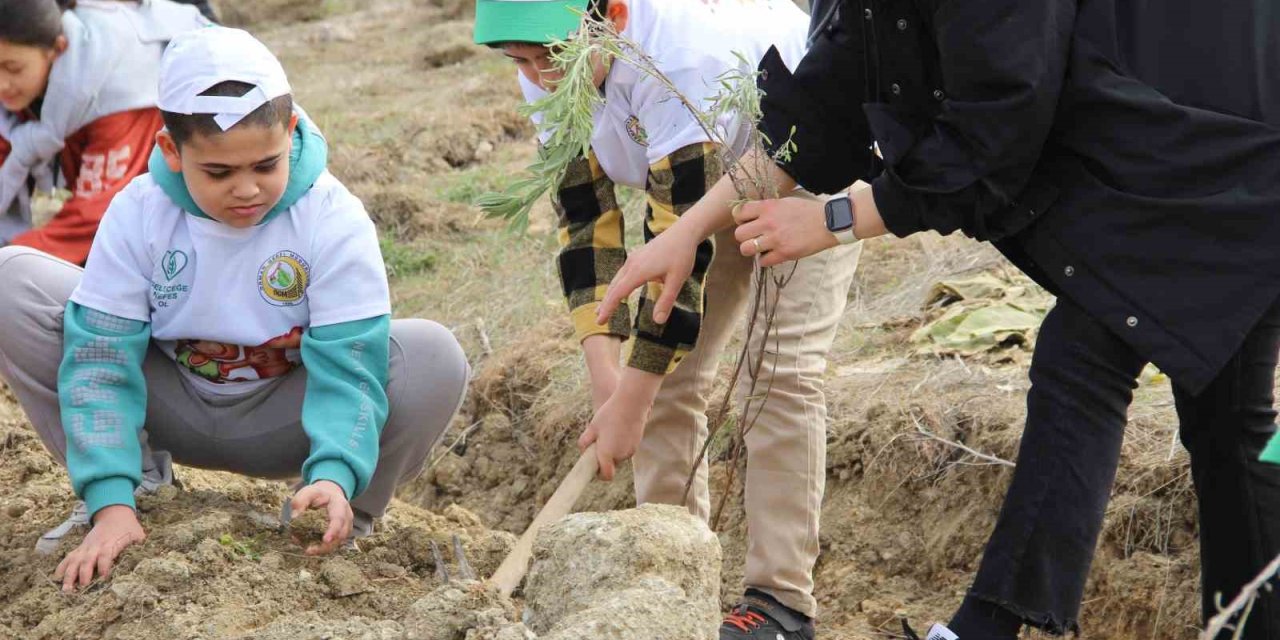 Çorum’da yüzlerce ıhlamur ve lavanta fidanı toprakla buluşturuldu