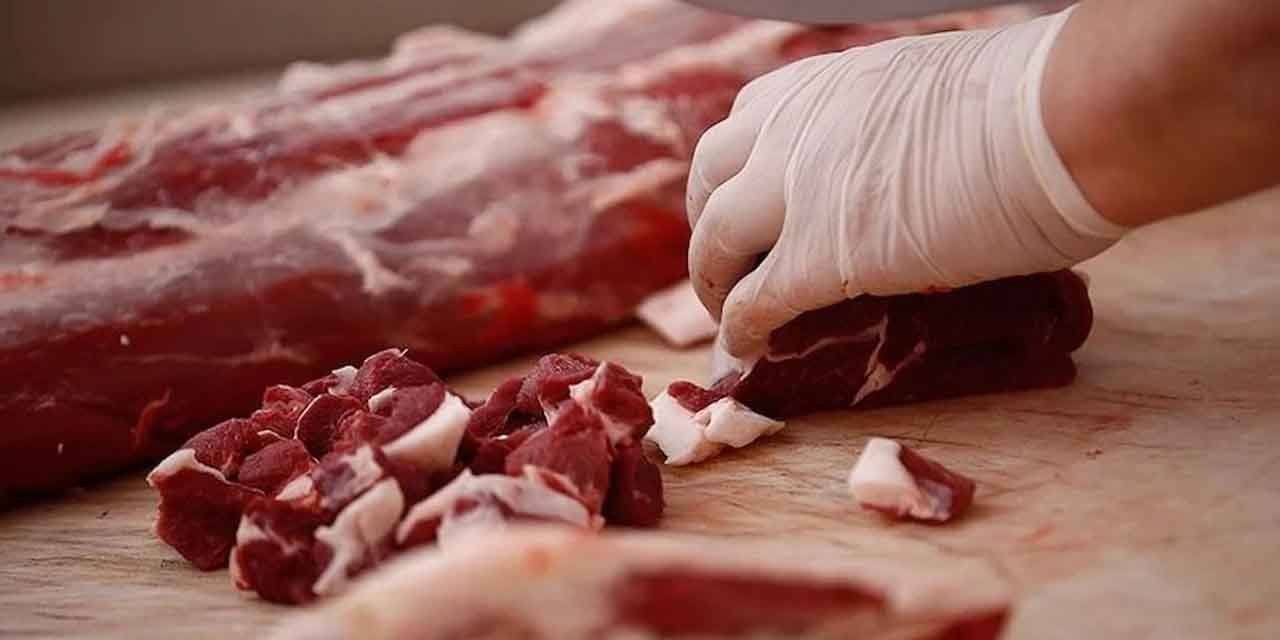 Bize neler yedirmişler neler! Eşek ve at eti!