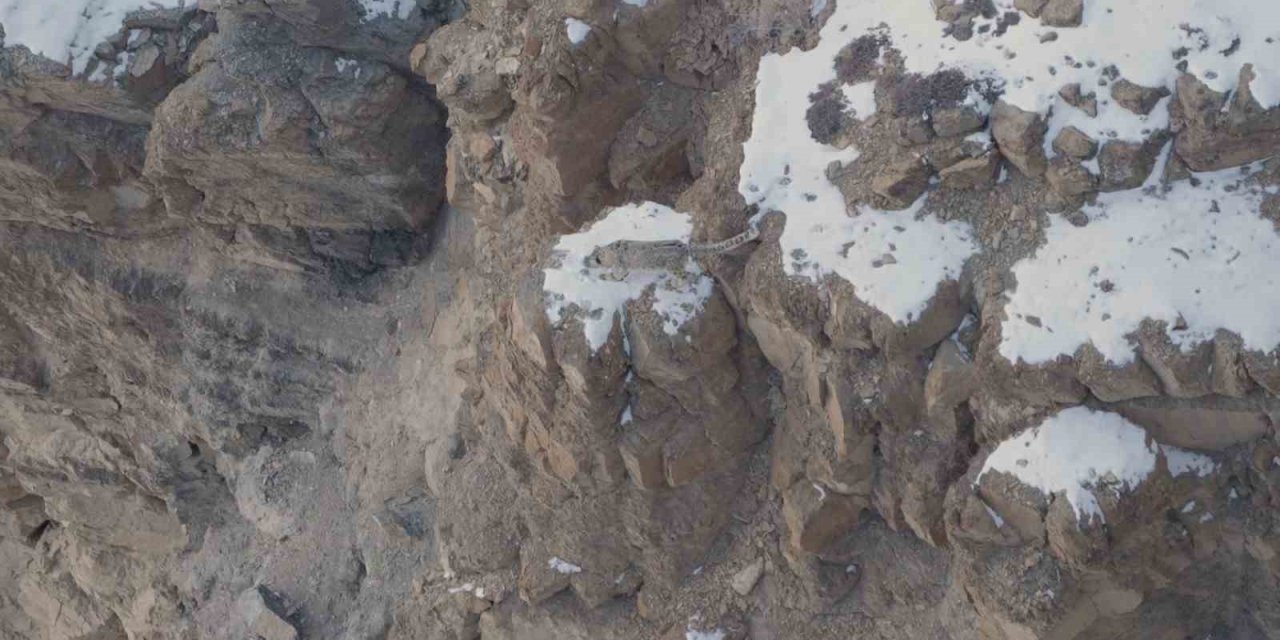 Dağların Hayaleti’ni görüntülemek için Himalaya Dağları’nda 16 günlük zorlu serüven