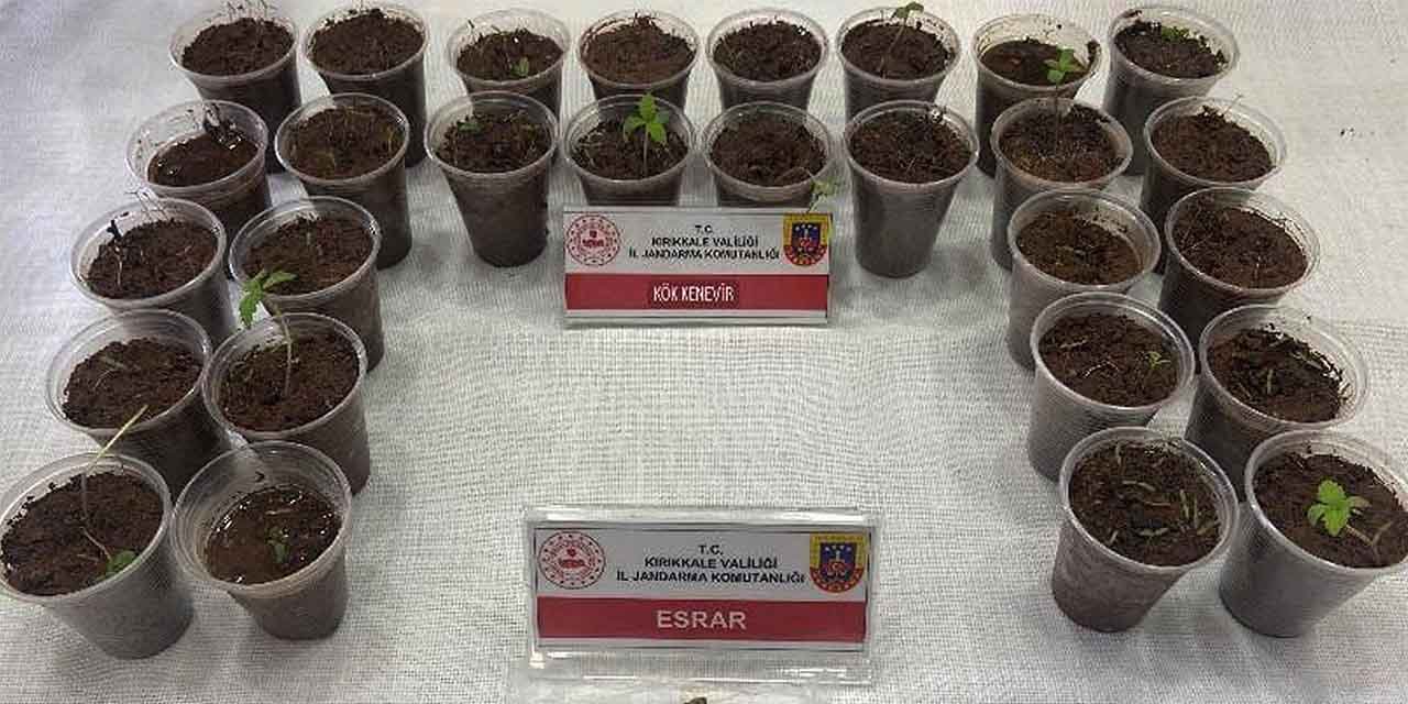 Kırıkkale'de yakalandı! Bagajdan bardak bardak kenevir çıktı!