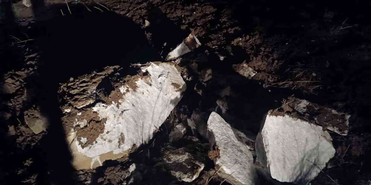 Define avcıları Tiktok’tan yakayı ele verdi