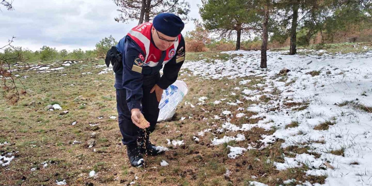 Yozgat İl Jandarma Komutanlığı Mart ayı bilançosunu açıkladı