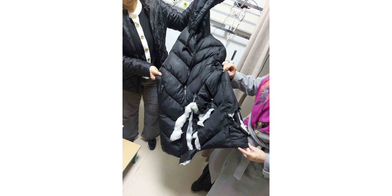 Köpeklerin saldırısına uğrayan kadın yaralandı: O anlar kameraya yansıdı