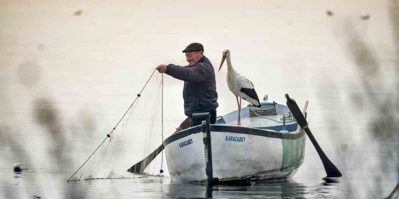 ’Yılın Basın Fotoğrafları’ yarışmasında sonuçlar açıklandı