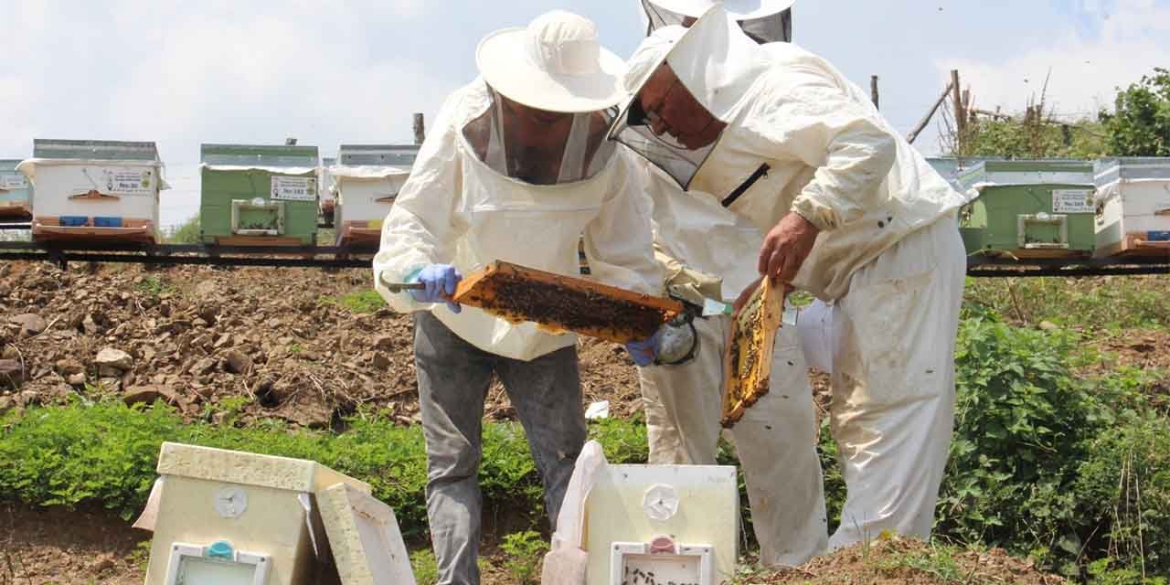 Kırıkkale’de ağızların tadı kaçacak!