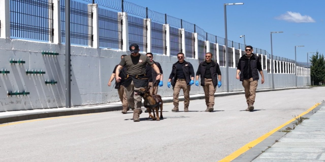 Sınırların gizli kahramanı hassas burun köpekler böyle eğitiliyor