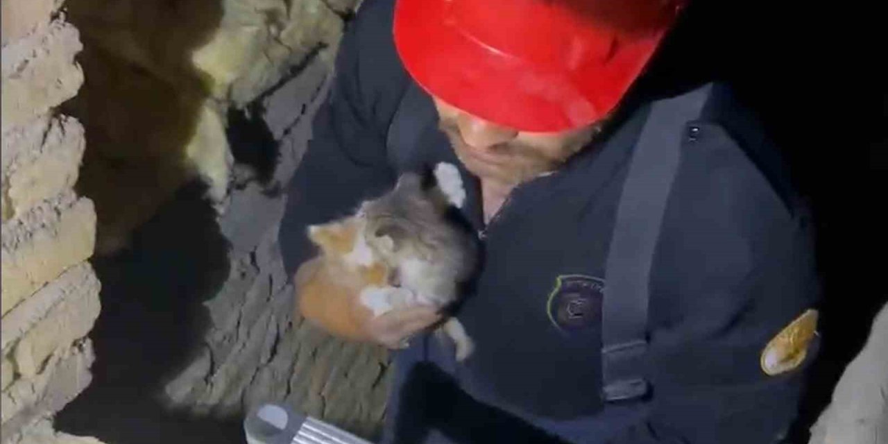 Kırıkkale’de havalandırma boşluğuna düşen yavru kediler kurtarıldı