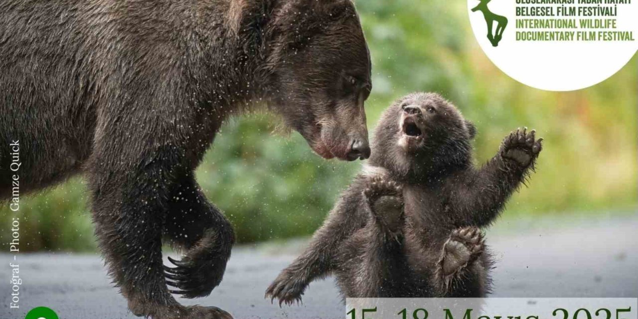 Ankara Uluslararası Yaban Hayatı Belgesel Film Festivali Ankara’da gerçekleşecek