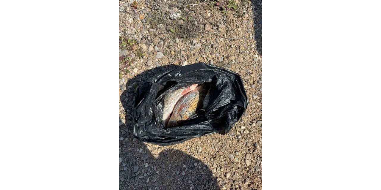 Kaçak Balık avı yapan 2 kişi yakalandı