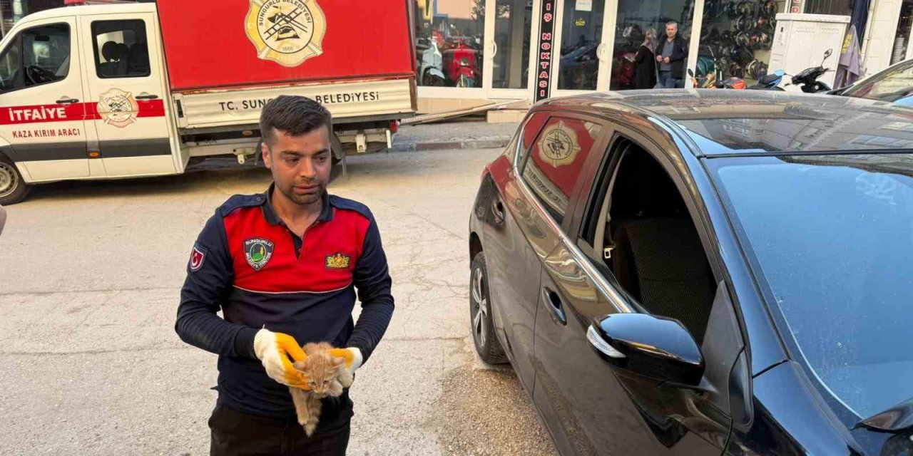 Otomobilin motor kısmına giren yavru kediyi itfaiye kurtardı