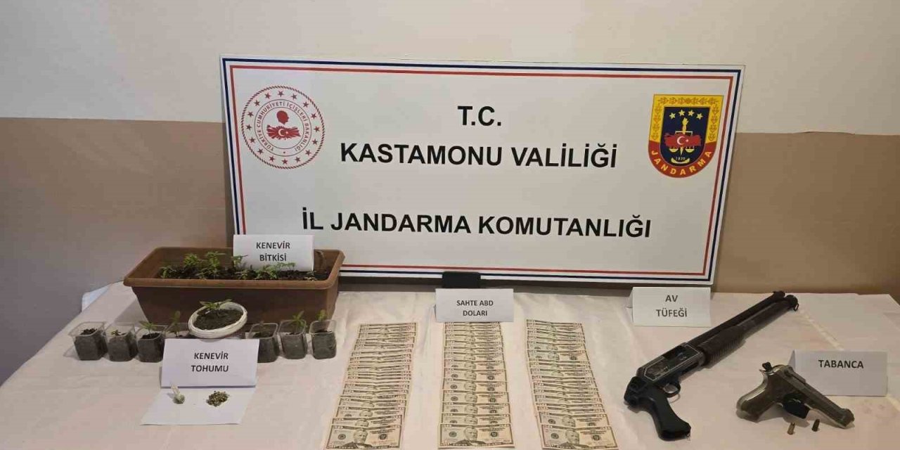 Kastamonu’da uyuşturucu operasyonu: 1 gözaltı