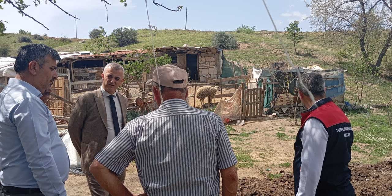 Kurt saldırısına yerinde inceleme