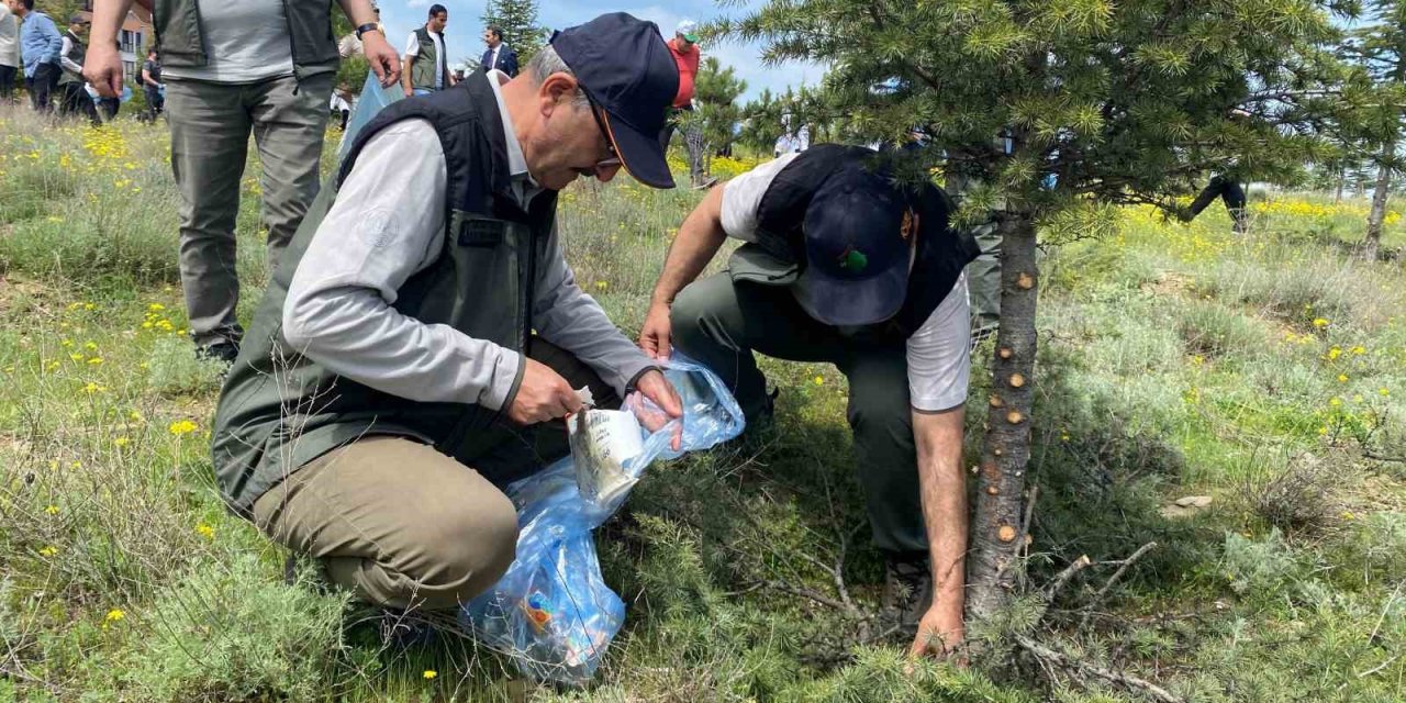 81 ilde ‘Orman Benim’ projesi düzenlendi