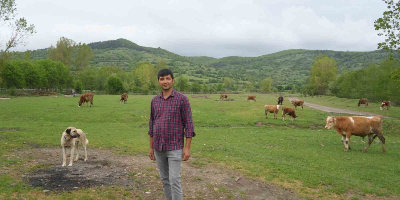 Şehir hayatından bıktı, döndüğü köyünde hayvancılığa başladı