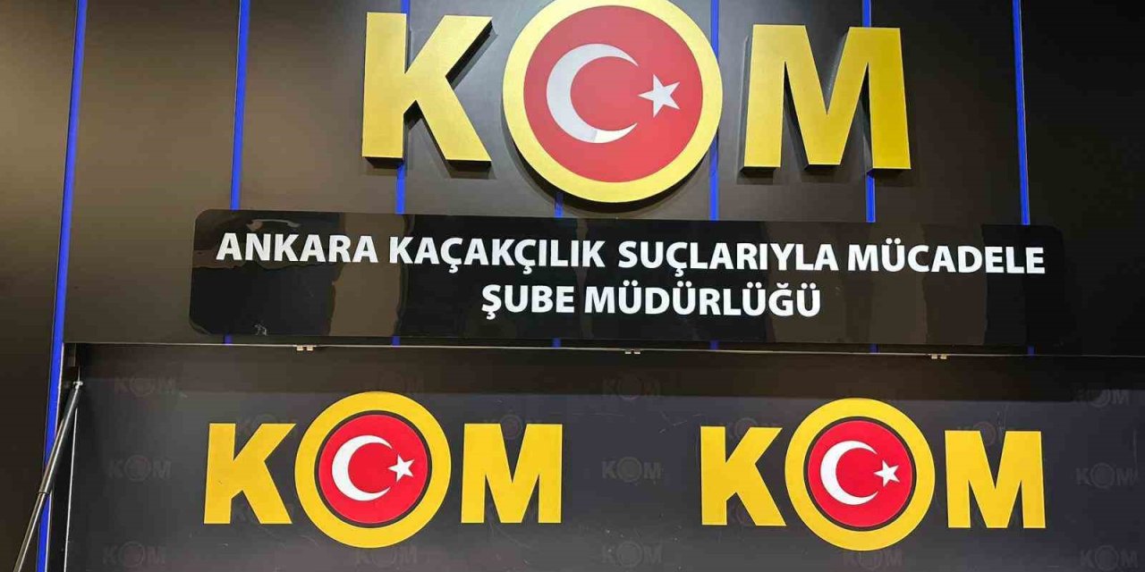 Ankara merkezli 5 ildeki operasyonlarda 96 egzotik hayvan ele geçirildi