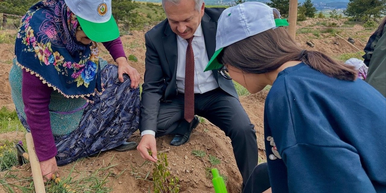 Kastamonu’da huzurevi sakinleri ile sevgi evinde kalan çocuklar fidan dikti