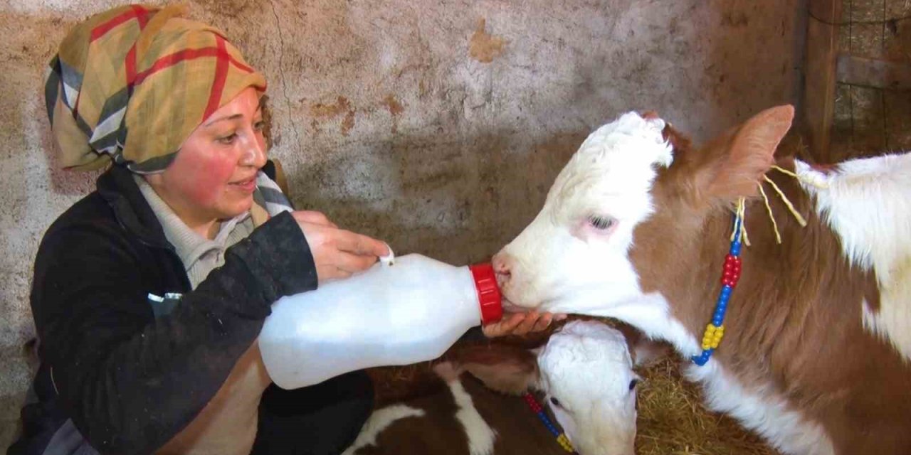 Kadınsın yapamazsın dediler, çiftlik kurdu