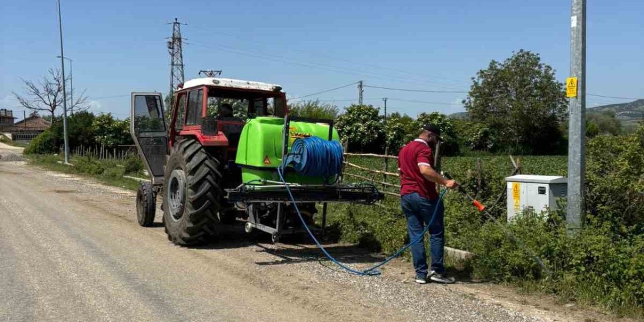 Taşköprü Belediyesi’nin haşereyle mücadele çalışmaları başladı