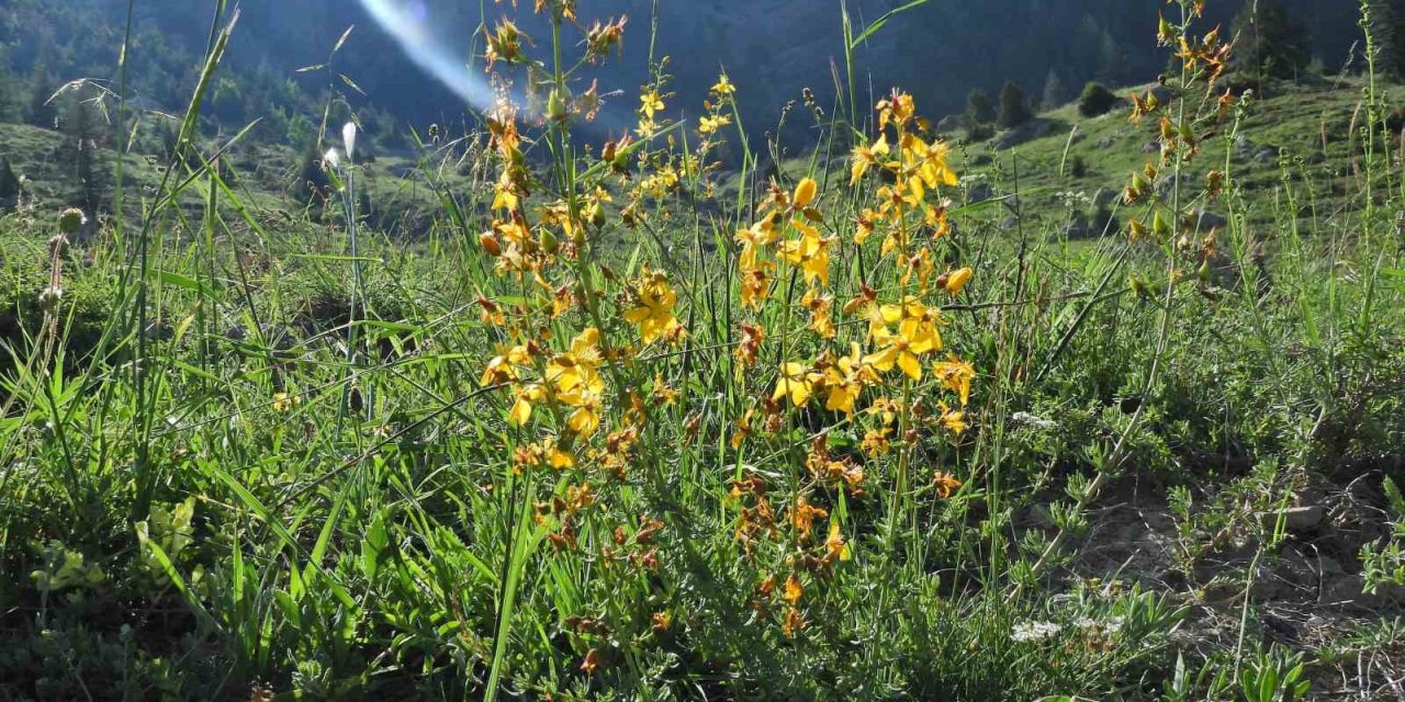Kahramanmaraş Geben Vadisi Milli Park ilan edildi
