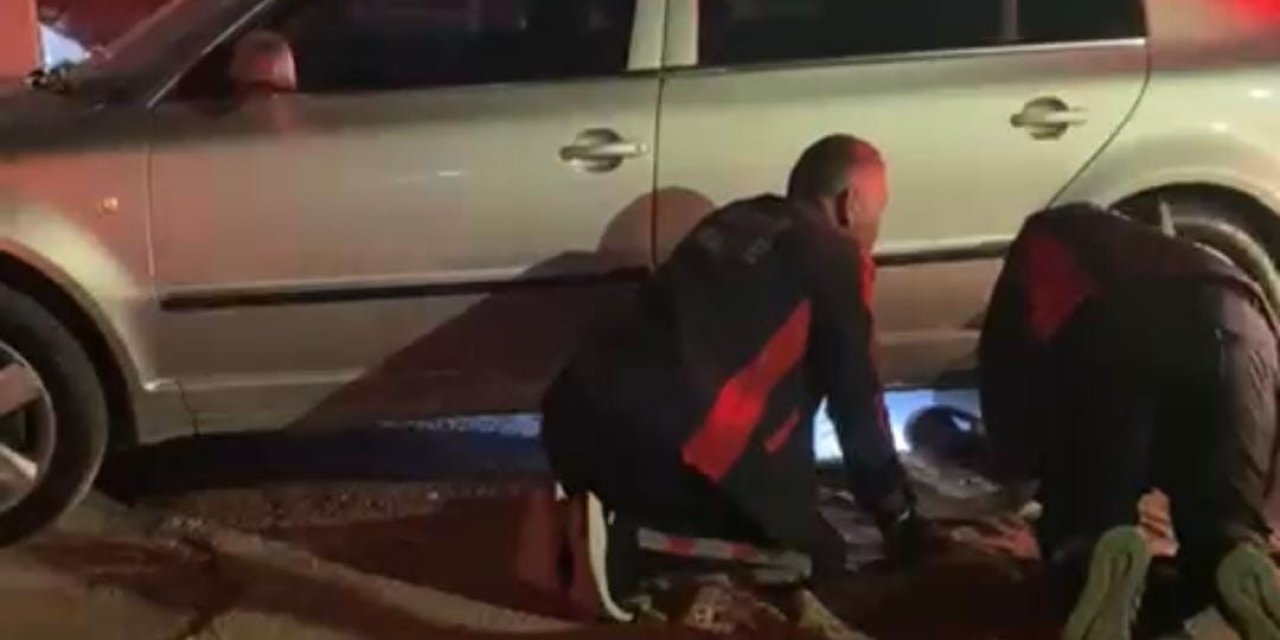 Farklı noktalarda mahsur kalan kedilere itfaiyeden yardım eli