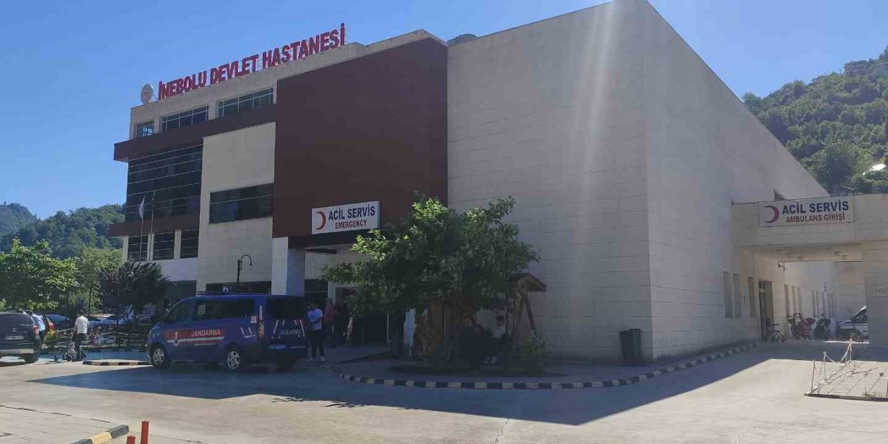 Üzüm yaprağı toplarken düşen kadın hayatını kaybetti