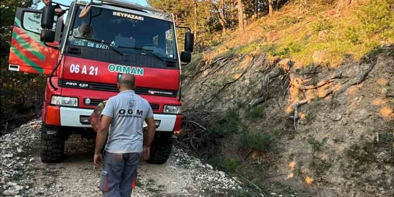 Beypazarı’nda orman yangını