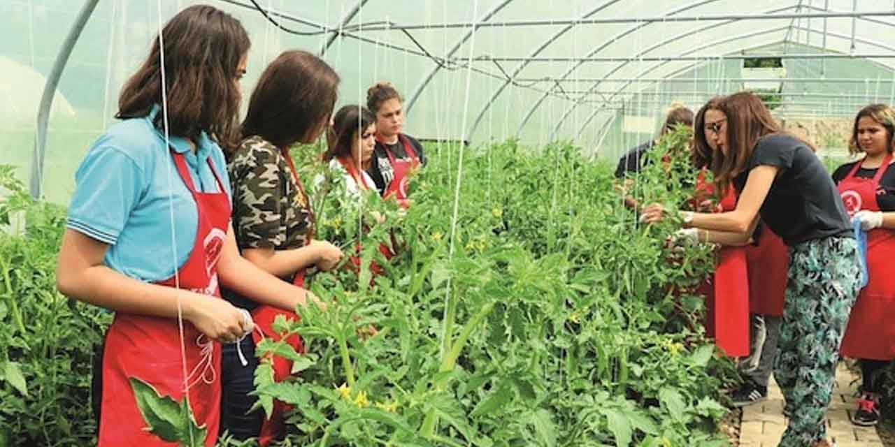 Kırıkkale’de gönüllü gençler tarımda aktif rol üstlenecek