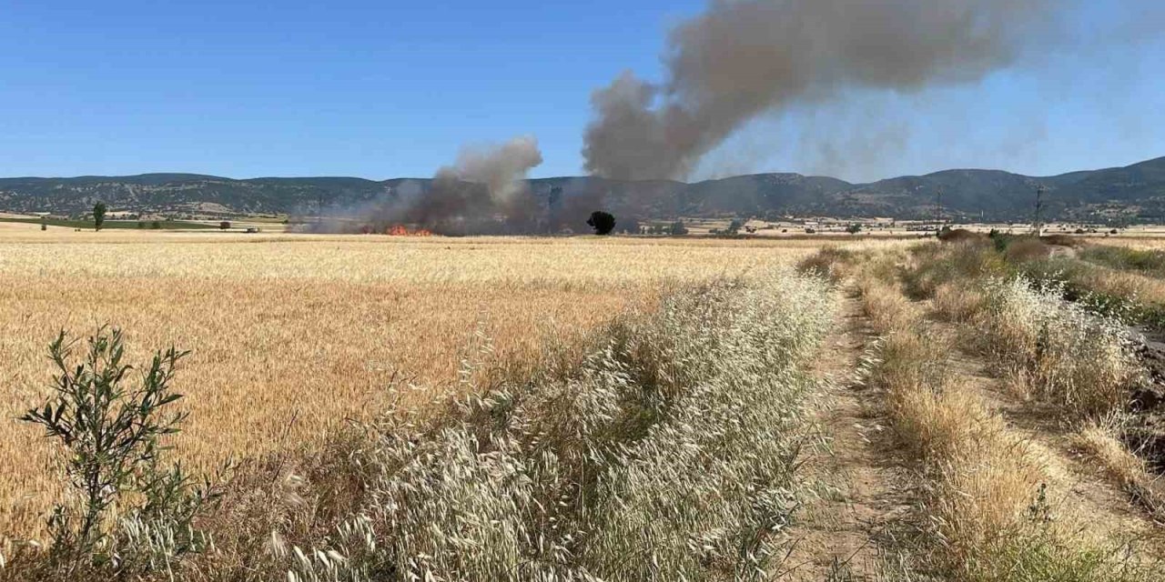 Yozgat’ta 20 dönüm ekili alan kül oldu
