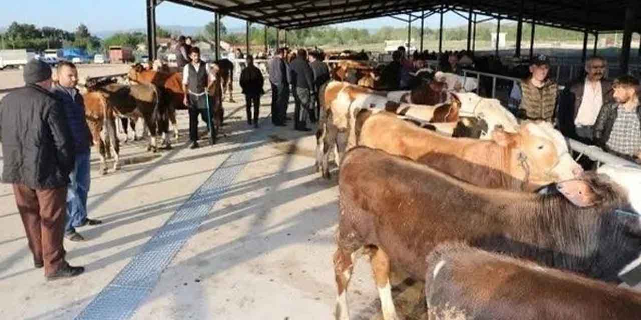 Kırıkkale’de hayvan pazarı kapatıldı