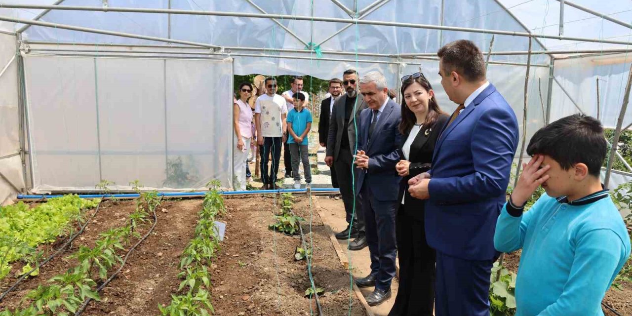 Öğrenciler bu bahçede sebze ve meyve yitiştirecek