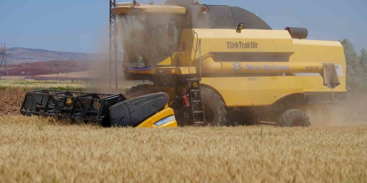 Kırıkkale'de güneşin altında hasat