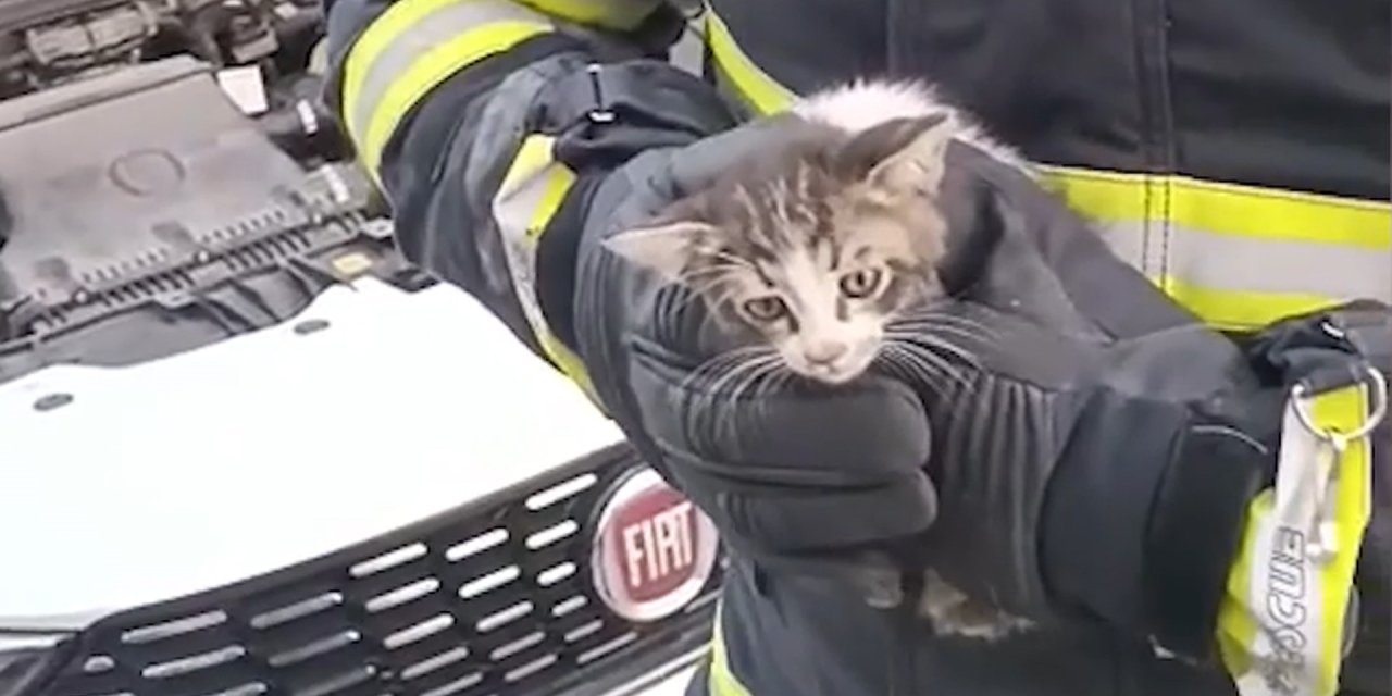 Otomobil motoruna giren kediyi itfaiye kurtardı