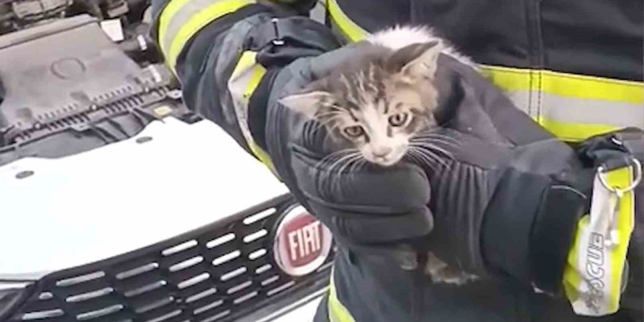 Kırıkkale’de kedi kurtarma operasyonu