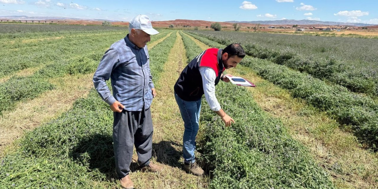 Kırıkkale’de yonca hasadına teknik takip