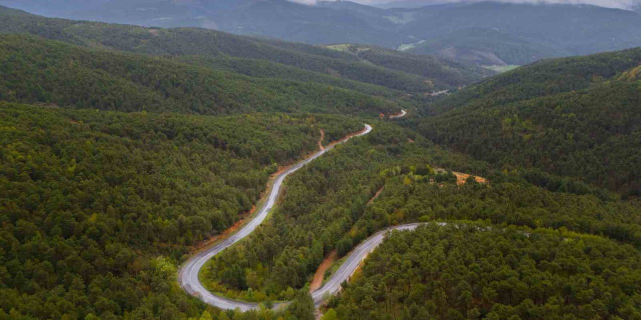 Akdağmadeni Belediye Başkanı Dr. Nezih Yalçın’dan orman yangını riskine karşı uyarı