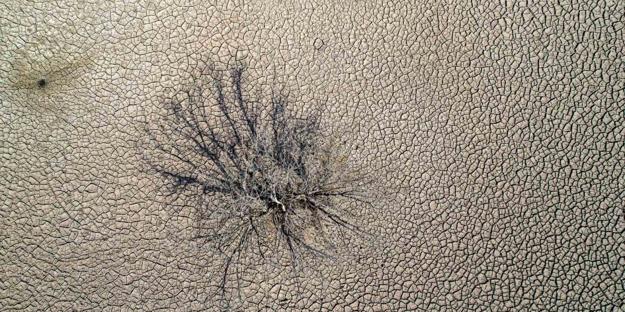 Hobi bahçelerinin kuyuları gölü kuruttu iddiası