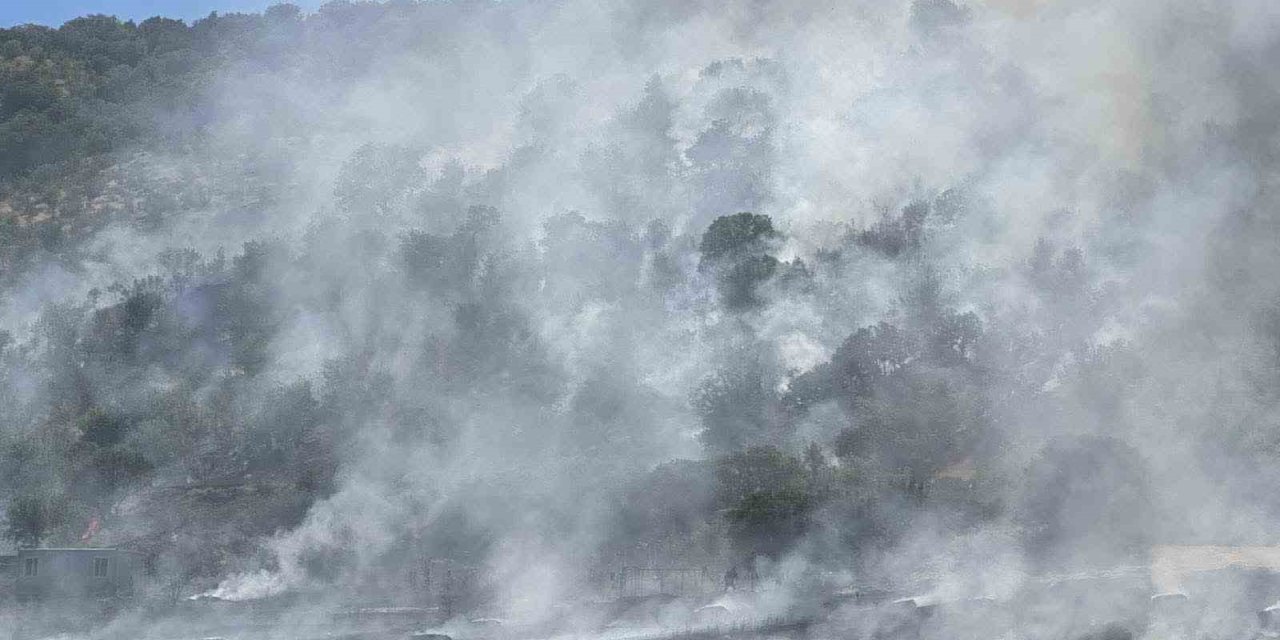 Ankara’da tarla yangını söndürüldü