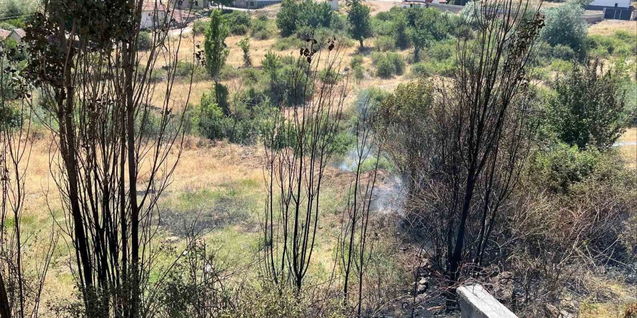 Kuru otları temizlemek isterken yangın çıkarttı